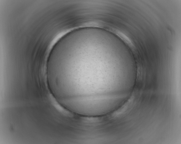 X0000114220800200910231442