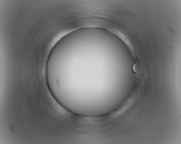 X0000114220803200910231442