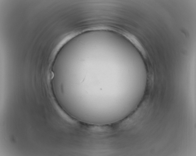 X0000114220805200910231442