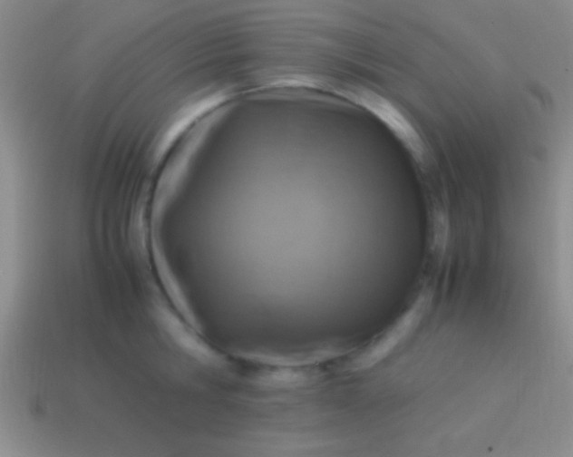 X0000114220806200910231442