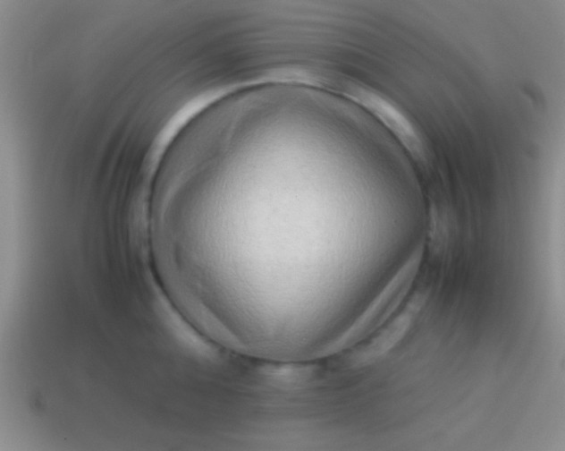 X0000114220808200910231442