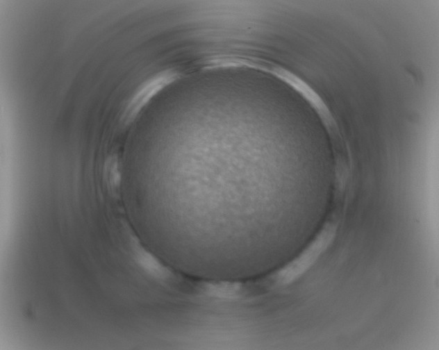 X0000114220809200910231442