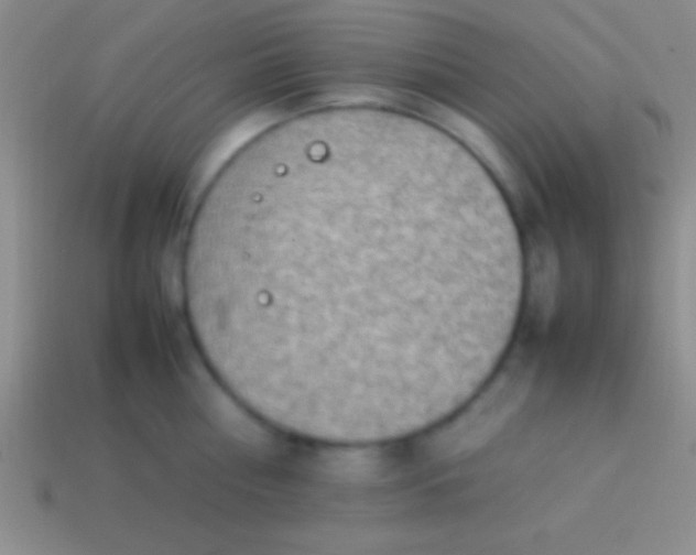 X0000114220810200910231442