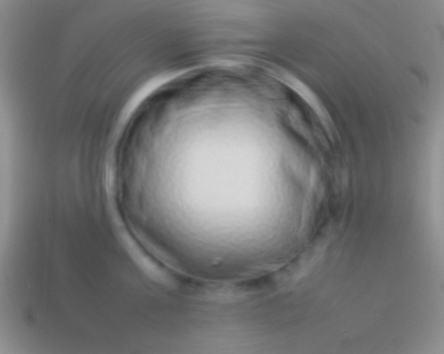 X0000114220811200910231442