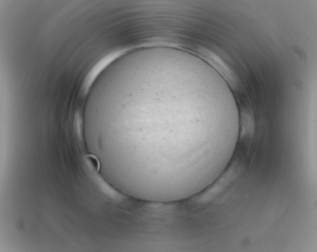 X0000114220812200910231442