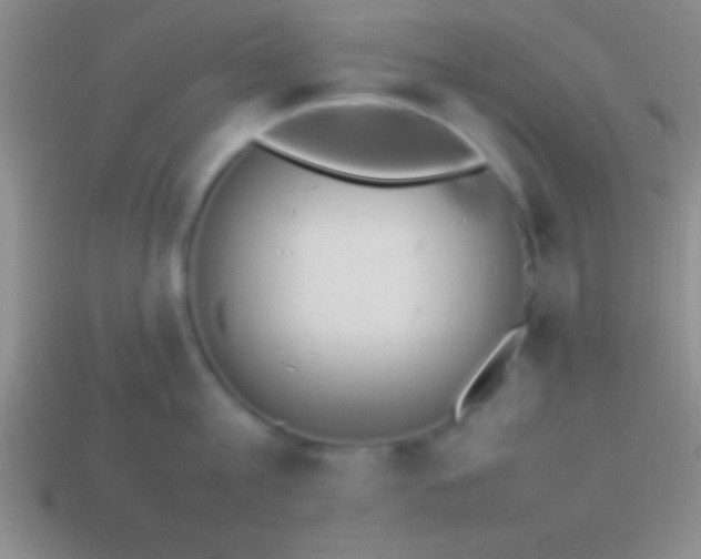 X0000114220813200910231442