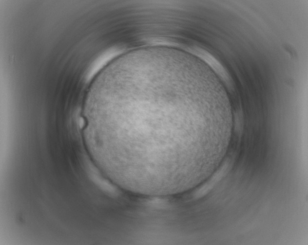 X0000114220814200910231442