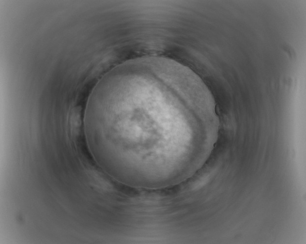 X0000114220818200910231441