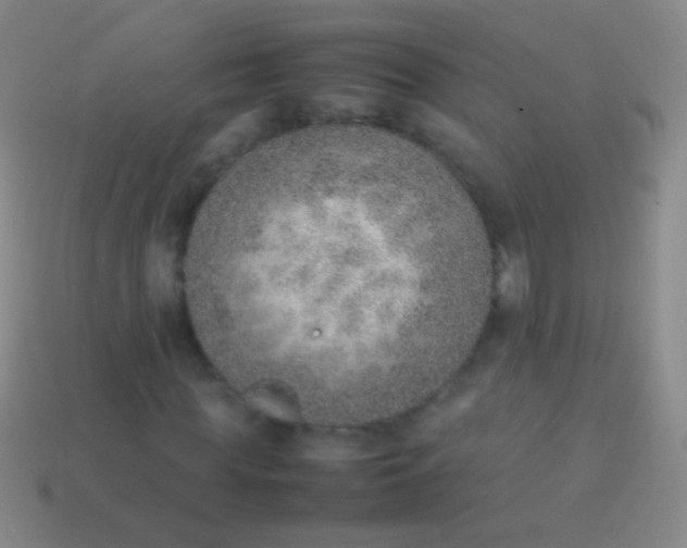 X0000114220819200910231441