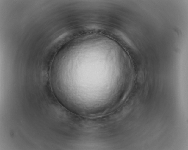 X0000114220821200910231441