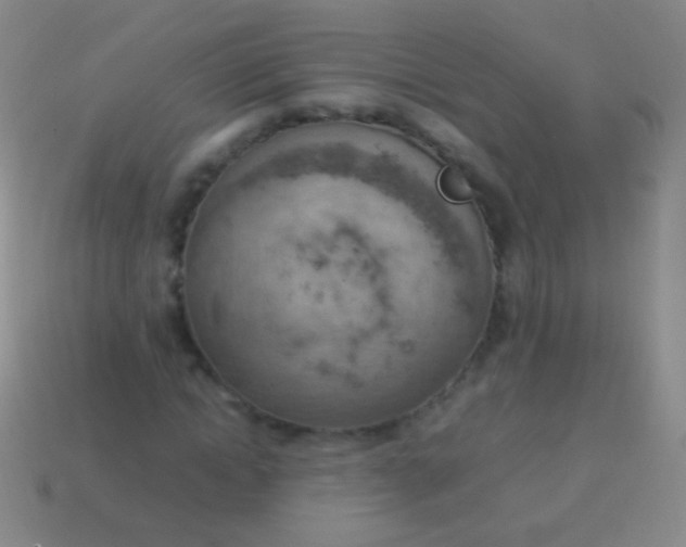 X0000114220822200910231441