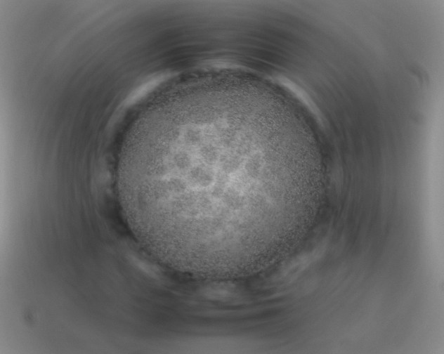 X0000114220823200910231441