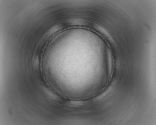 X0000114220825200910231441