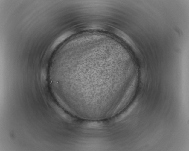 X0000114220826200910231441