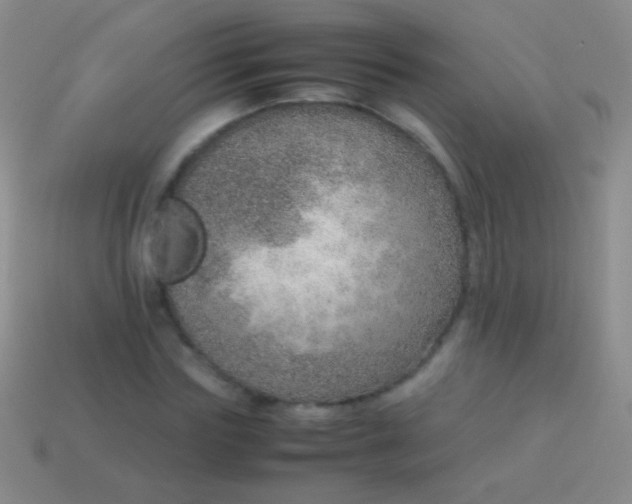 X0000114220827200910231441