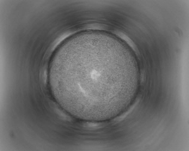 X0000114220829200910231441