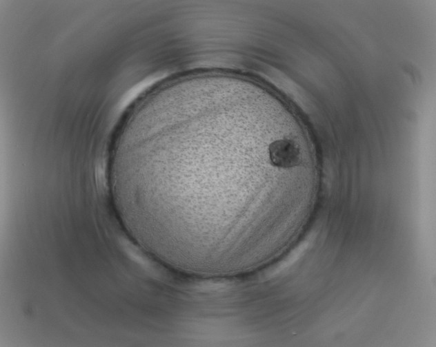 X0000114220830200910231441