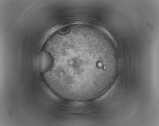 X0000114220831200910231441