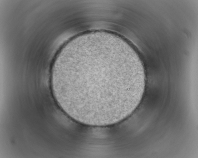 X0000114220832200910231441