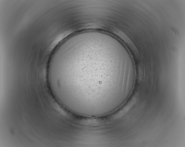 X0000114220834200910231441