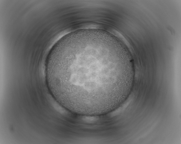 X0000114220835200910231441