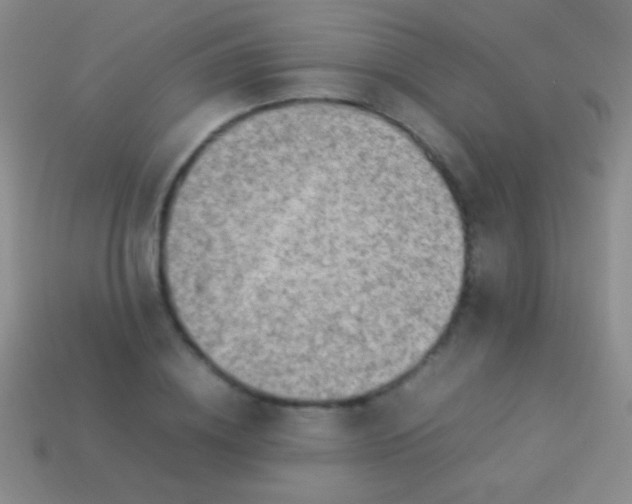 X0000114220836200910231441