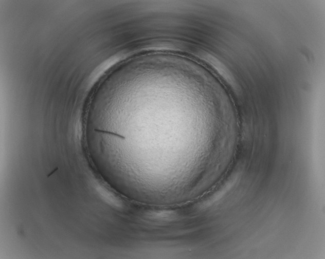 X0000114220837200910231441