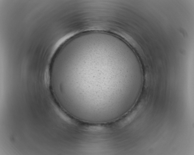 X0000114220838200910231441