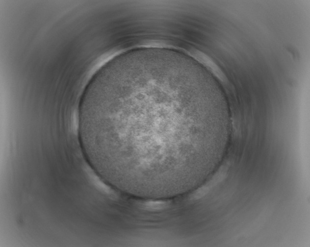 X0000114220839200910231441