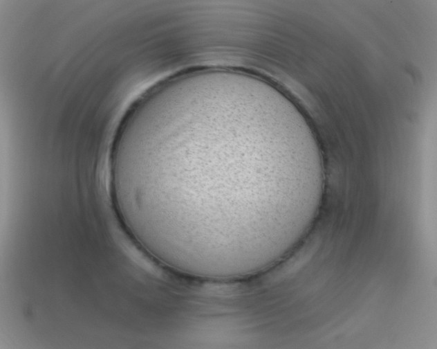 X0000114220840200910231441