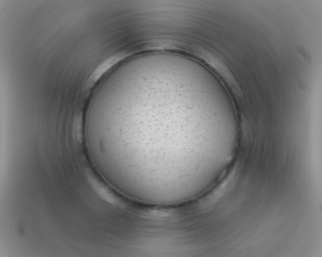 X0000114220842200910231441