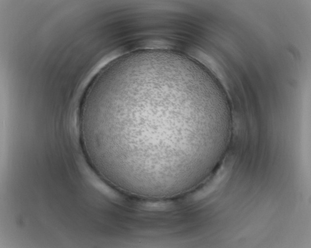 X0000114220843200910231441