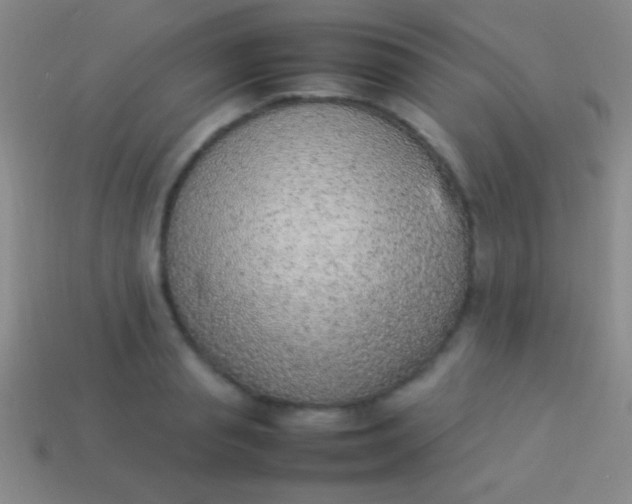 X0000114220845200910231441