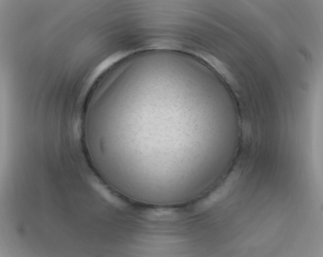 X0000114220846200910231441