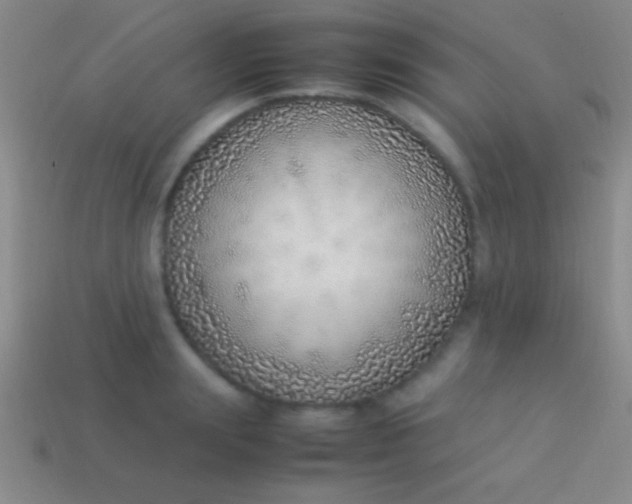 X0000114220847200910231441