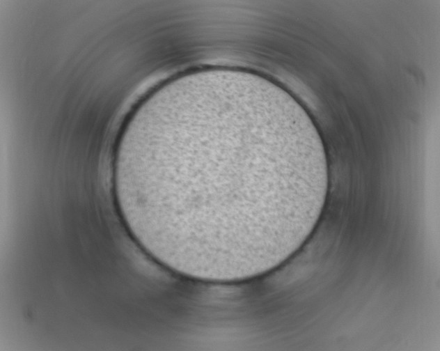 X0000114220848200910231441