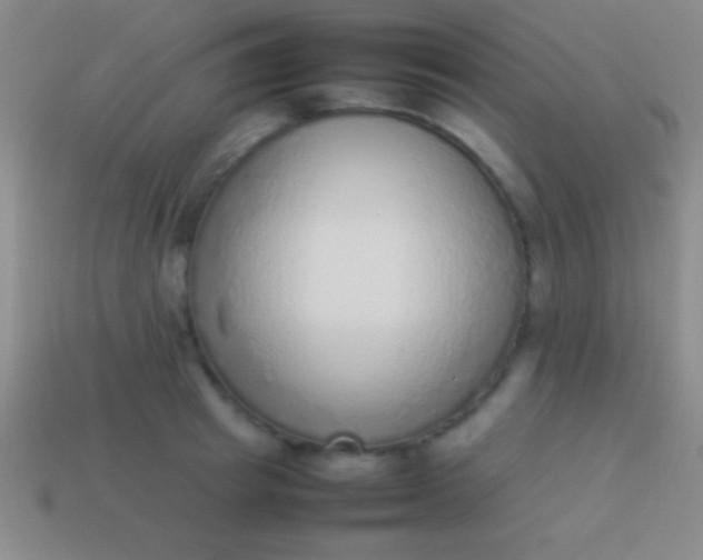 X0000114220849200910231441