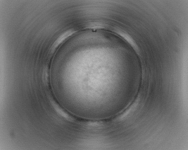 X0000114220850200910231441