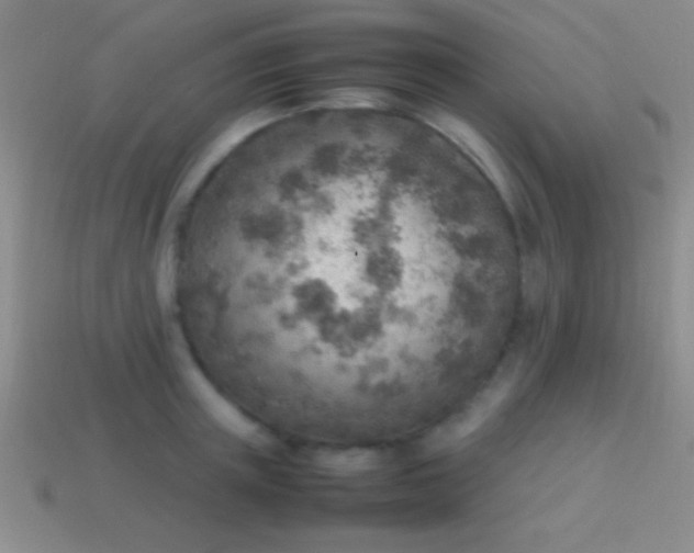 X0000114220851200910231441