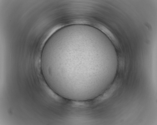 X0000114220852200910231441