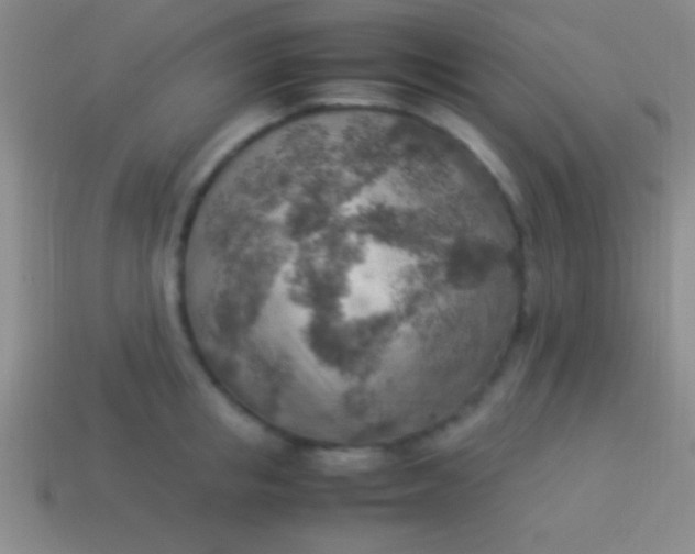 X0000114220853200910231441