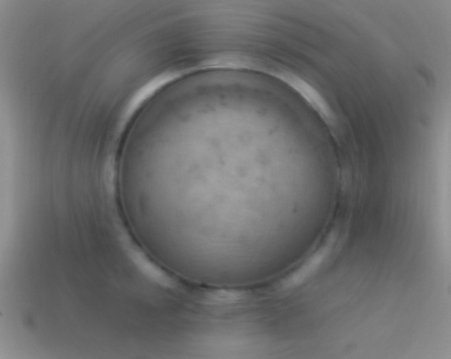 X0000114220854200910231441