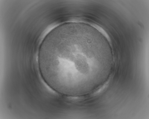 X0000114220855200910231441