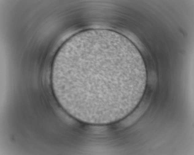 X0000114220856200910231441