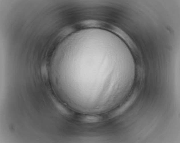 X0000114220857200910231441