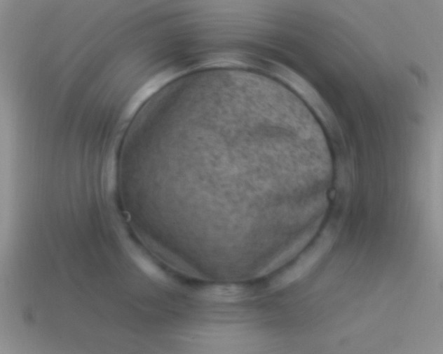 X0000114220858200910231442