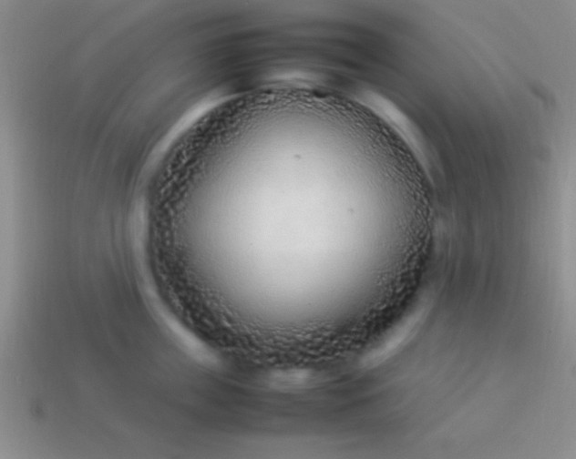 X0000114220859200910231442