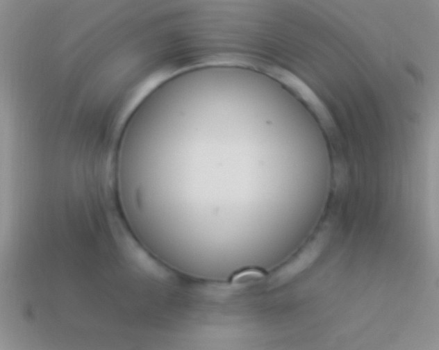 X0000114220860200910231442