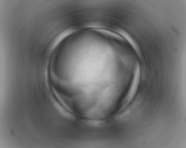 X0000114220861200910231442