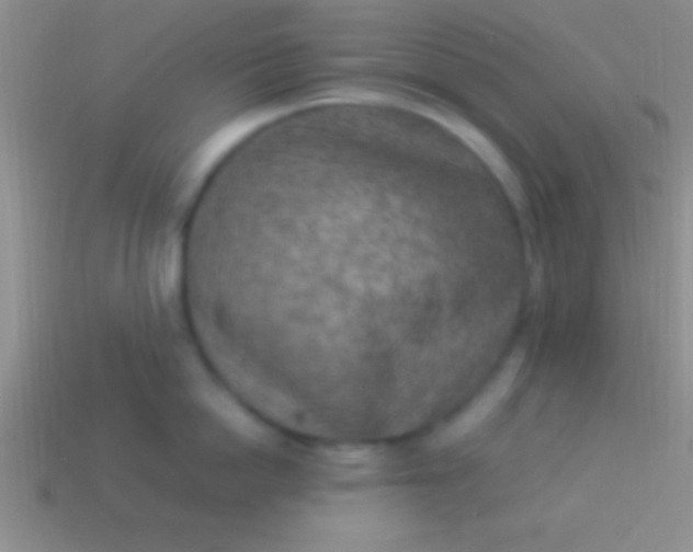 X0000114220862200910231442